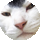 arrow.png
