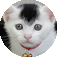 user.png